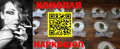 гашик Краснознаменск