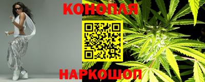 гашик Краснознаменск