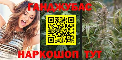 гашик Краснознаменск