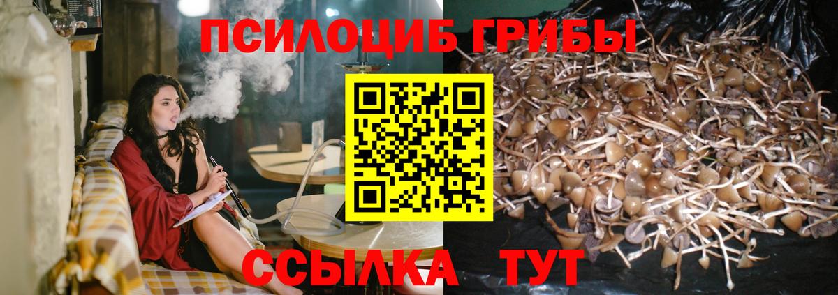 Жигулёвск  Галлюциногенные грибы GOLDEN TEACHER  Галлюциногенные грибы Psilocybine cubensis  Вход с VPN 